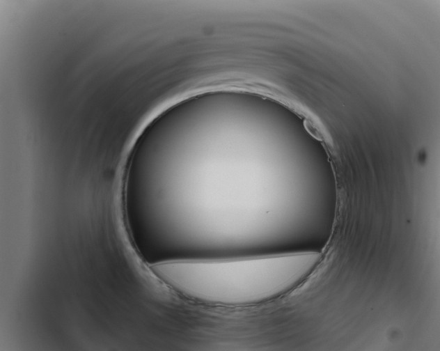 X0000103441530200809121049