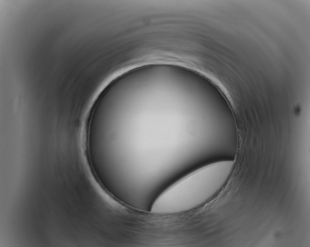 X0000103441531200809121049