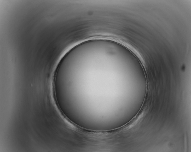 X0000103441533200809121049