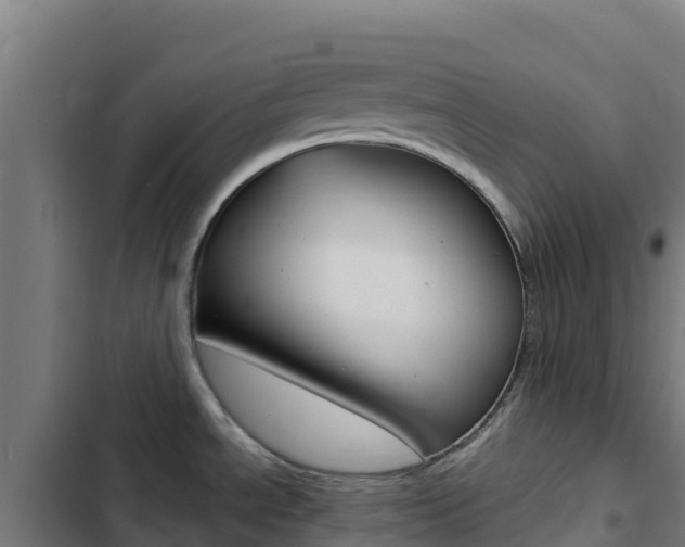 X0000103441534200809121049