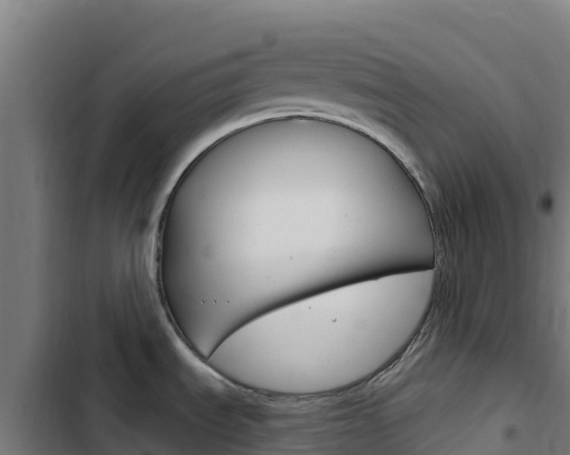 X0000103441535200809121049