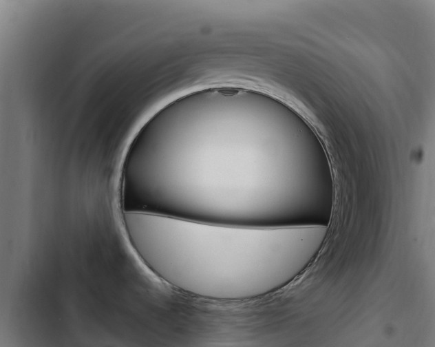 X0000103441536200809121049