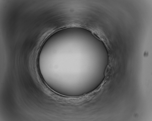X0000103440001200809121414