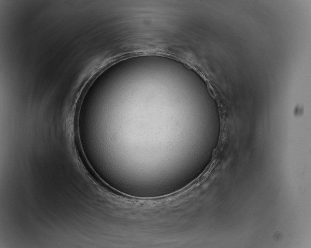 X0000103440002200809121414