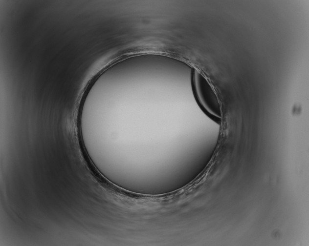 X0000103440004200809121414