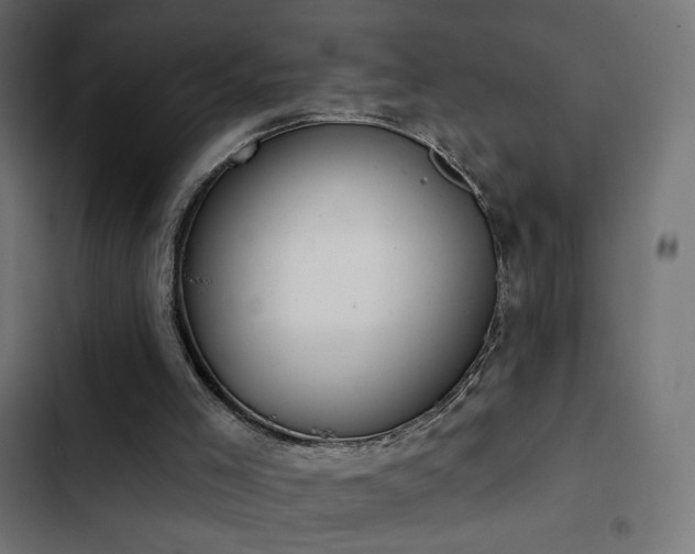 X0000103440005200809121414