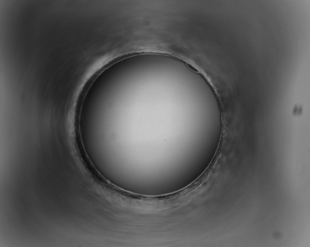 X0000103440008200809121414