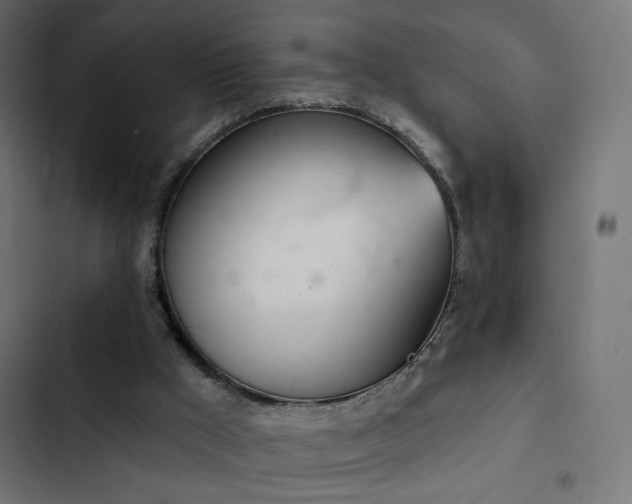 X0000103440009200809121414