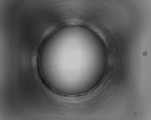 X0000103440010200809121414