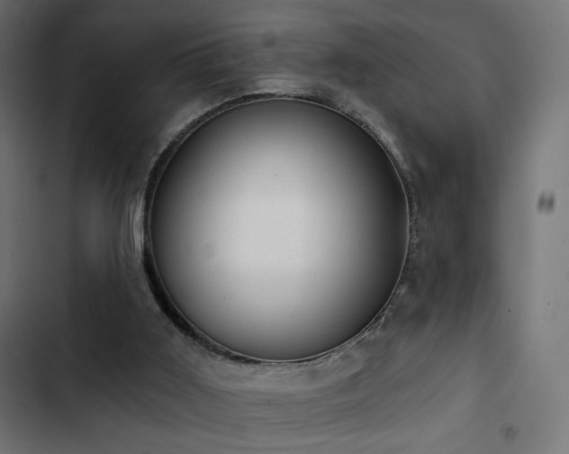 X0000103440011200809121414
