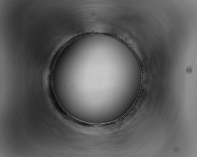 X0000103440012200809121414