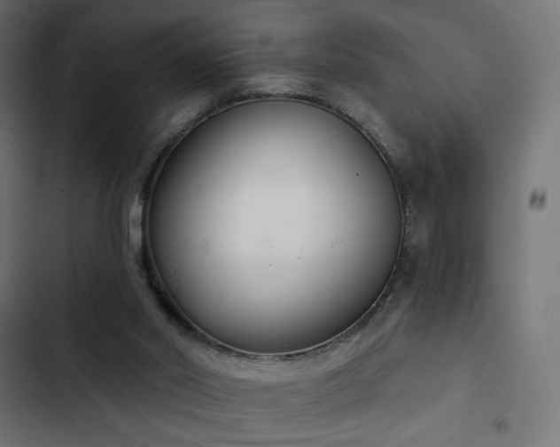 X0000103440014200809121414