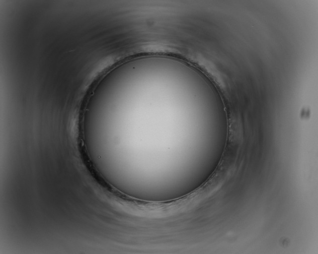 X0000103440015200809121414
