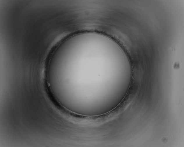 X0000103440016200809121414