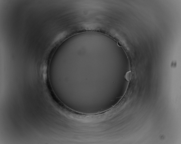 X0000103440019200809121414