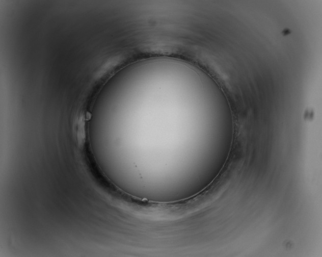 X0000103440020200809121414