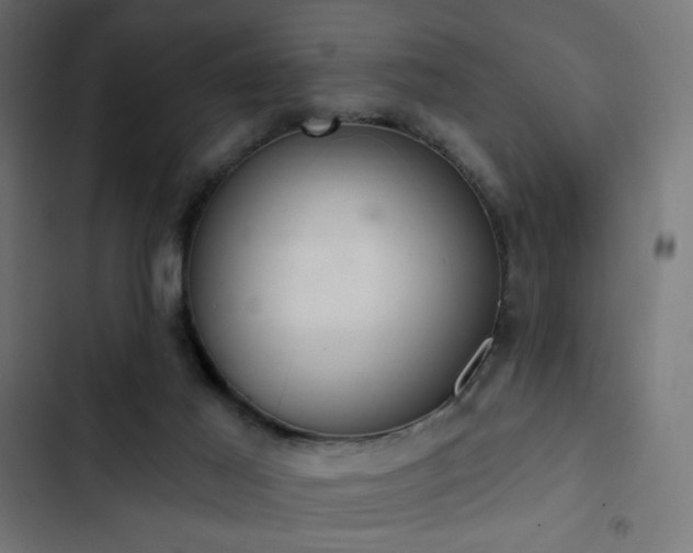 X0000103440021200809121414