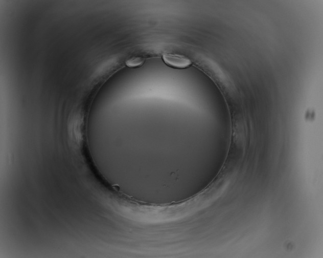 X0000103440023200809121414