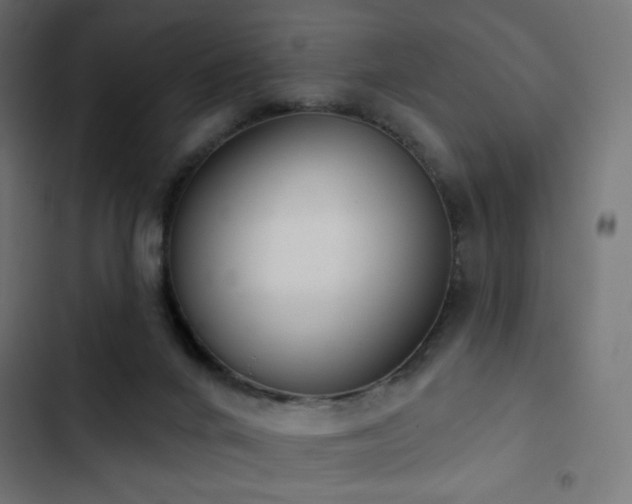 X0000103440024200809121414