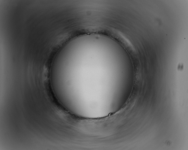 X0000103440025200809121414