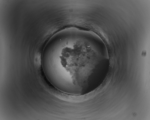 X0000103440027200809121414