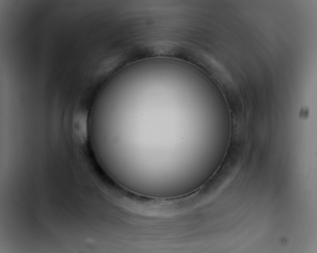 X0000103440028200809121414