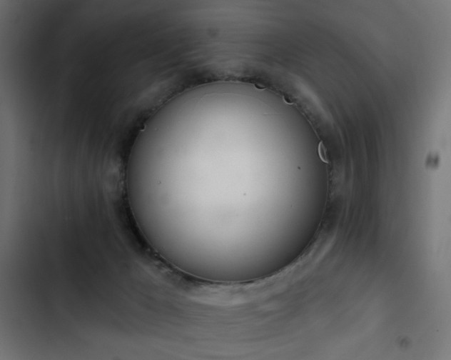 X0000103440029200809121414