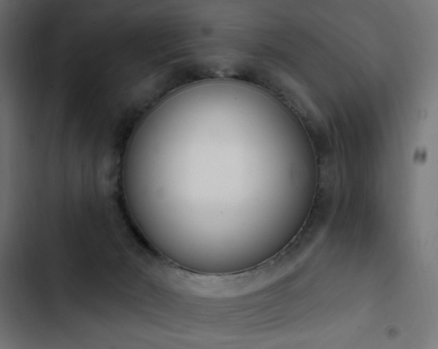 X0000103440030200809121414
