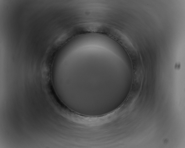 X0000103440031200809121414
