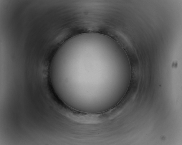 X0000103440032200809121414