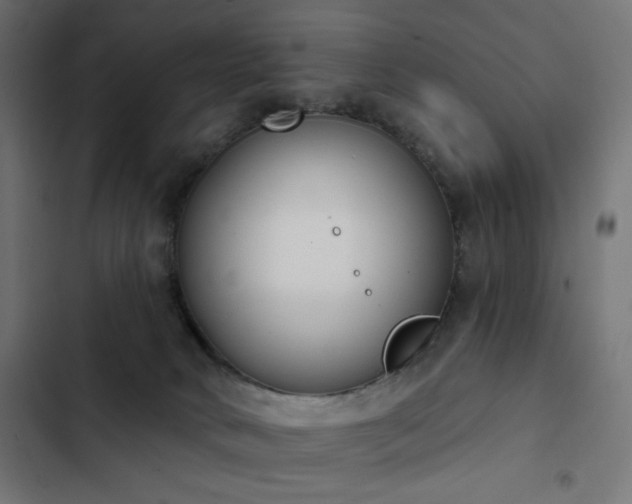X0000103440034200809121414