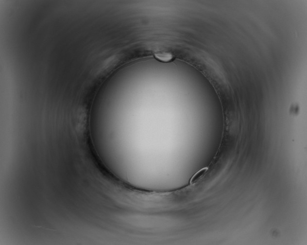 X0000103440036200809121414