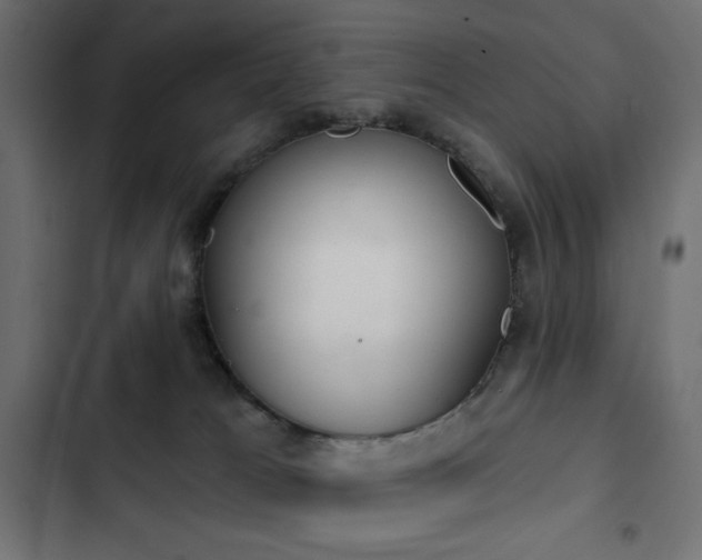 X0000103440037200809121414