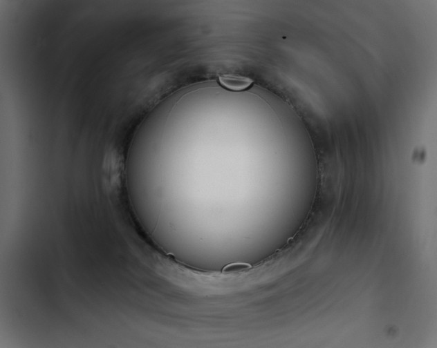 X0000103440038200809121414