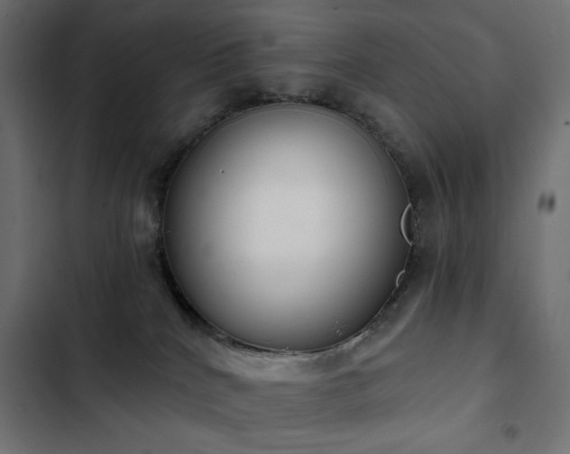 X0000103440040200809121414