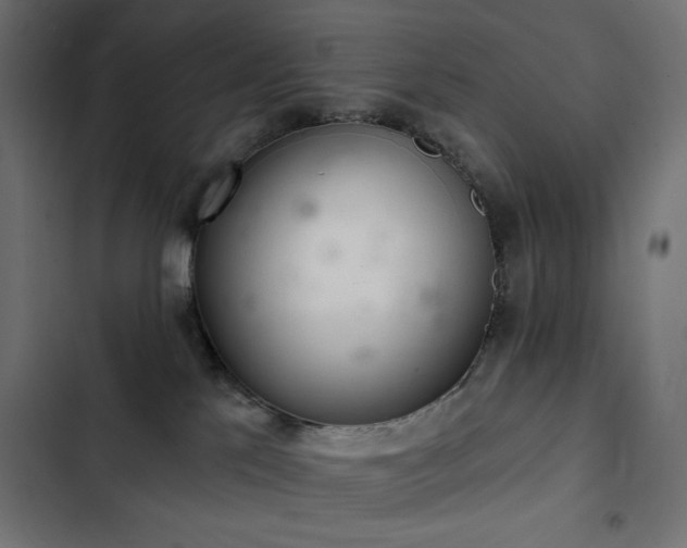 X0000103440041200809121414