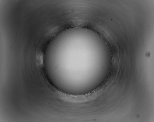 X0000103440042200809121413