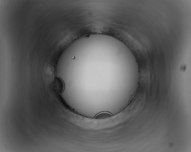 X0000103440043200809121413