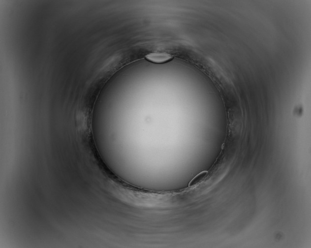 X0000103440044200809121413