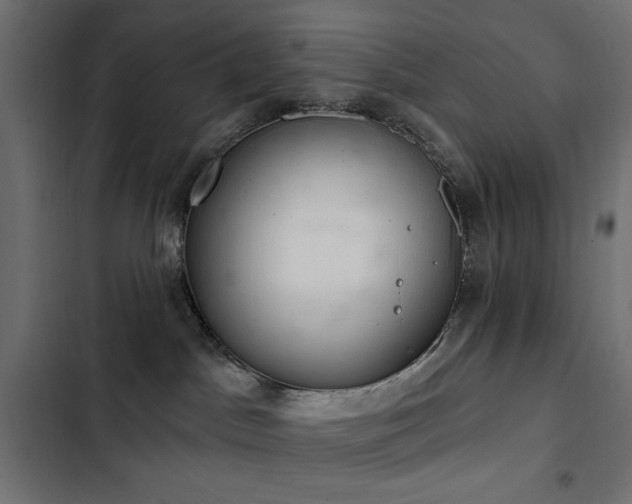 X0000103440045200809121413