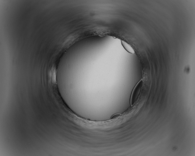 X0000103440046200809121413