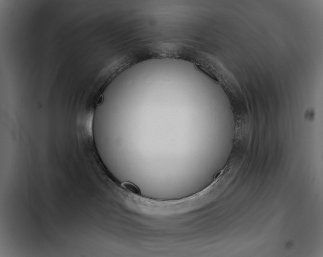 X0000103440047200809121413