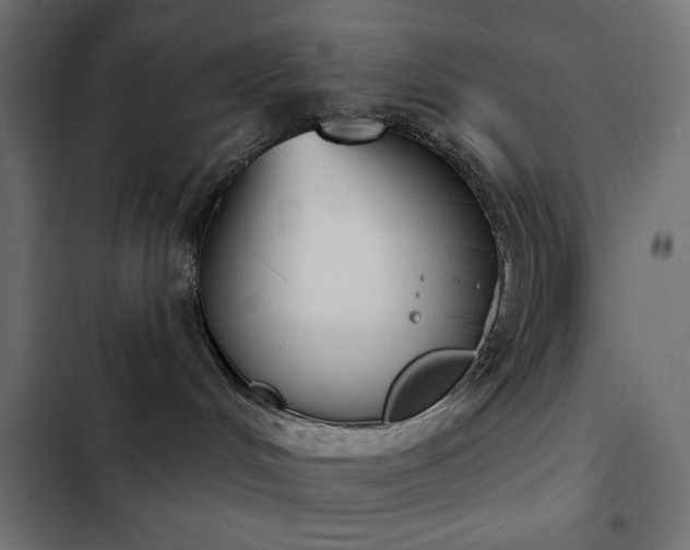 X0000103440048200809121413