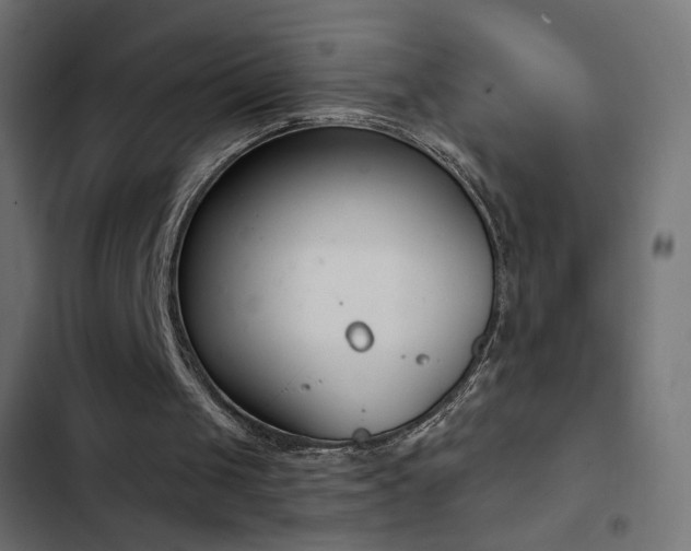 X0000103440049200809121413