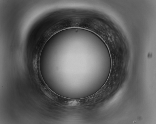 X0000103440050200809121413