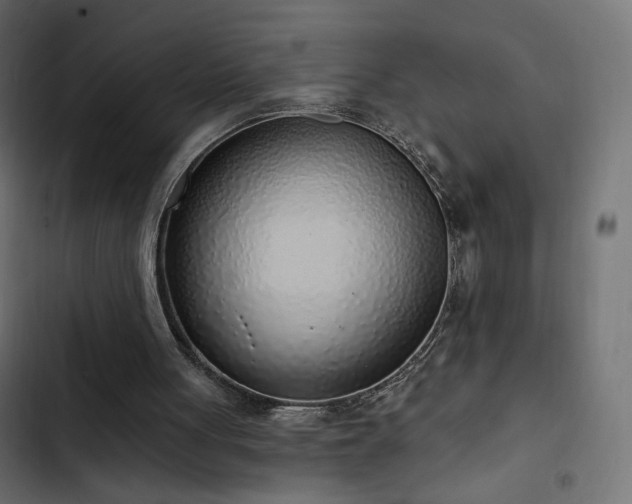 X0000103440051200809121413