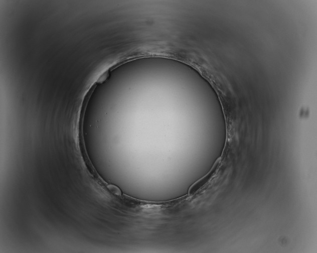 X0000103440052200809121413