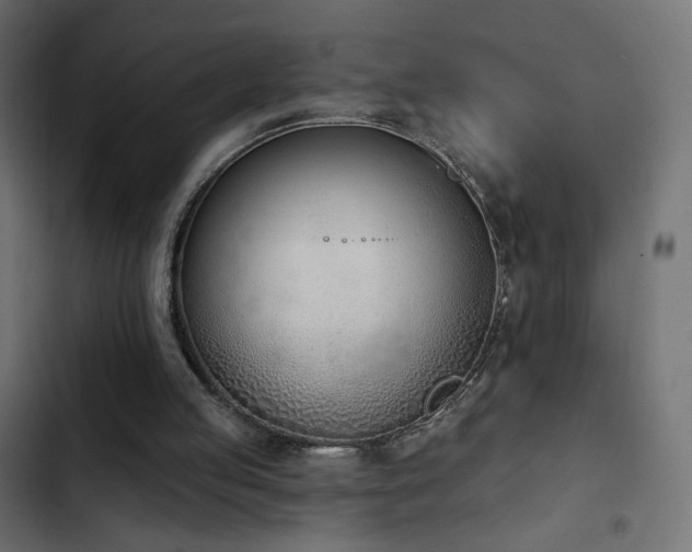 X0000103440053200809121413