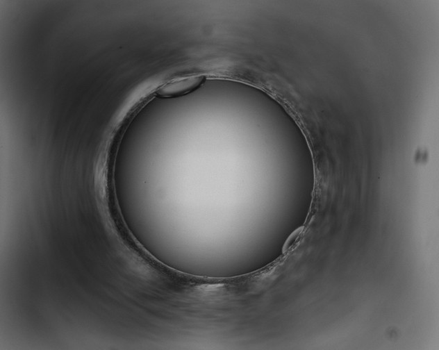 X0000103440054200809121413