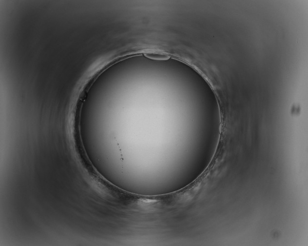 X0000103440055200809121413